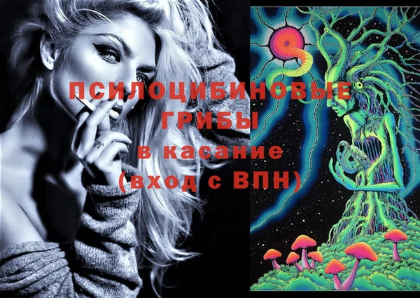кокс Инта