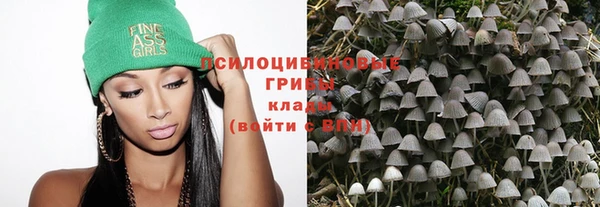 кокс Инта